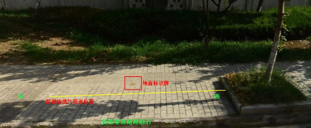 圖6.jpg